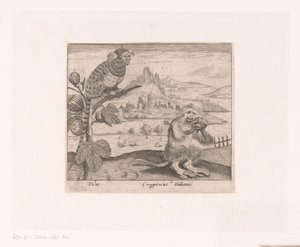 Serie prenten met bloemen en dieren in een landschap