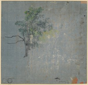 Boomstudies (verso)
