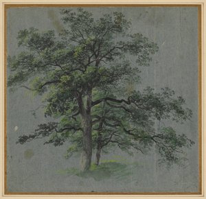 Twee bomen (recto)