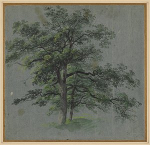 Twee Bomen recto Boomstudies verso, eerste helft 1800s