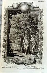 Kopergravure uit 