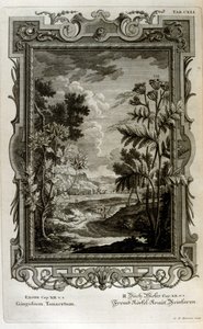 Illustratie door Johann Jakob Scheuchzer