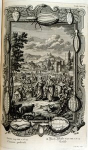 Plaag van luizen en muggen door Johann Jakob Scheuchzer