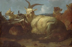 Een geitenhoeder kijkt naar zijn dieren