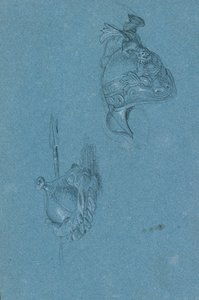 Helmstudies