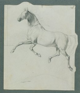 Paardenstudie voor "Rüdiger en Angelika"