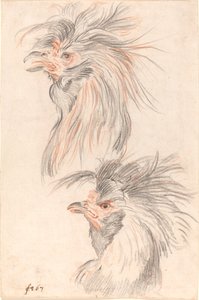 Vechtende Haan door Johann Rudolph Schellenberg
