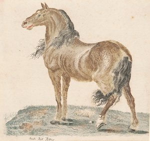 Het Hinniken van het Paard, 1690s