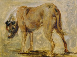 Bruine dog
