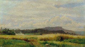 Graanveld met oude vrouw