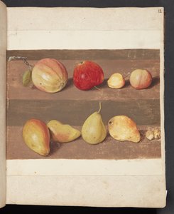 Studie van appels en peren