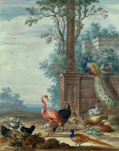 Een Italiaans Landschap met een Pauw, Fazant, Flamingo en andere Vogels door Johannes Bronckhorst