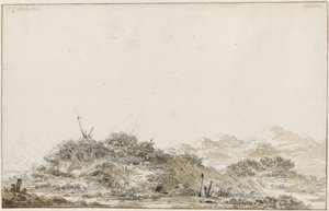 Duinlandschap door Johannes Christiaan Schotel