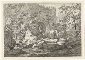 Ravijn met rotsblokken en bomen