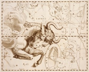 Stier (sterrenbeeld), gravure uit Firmamentum Sobiescianum sive Uranographia, volledige sterrencatalogus, door Johann Hevelius, gedrukt in Gdansk door Johannes Hevelius