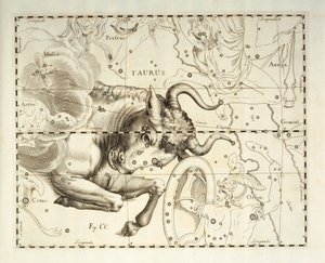 Stier, sterrenbeeld Stier, gravure uit hemels atlas Firmamentum Sobiescianum sive Uronographia, door Johann Hevelius (1611-1687), Gdansk door Johannes Hevelius