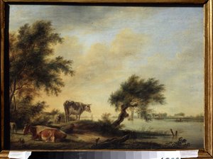 Landschap met vee