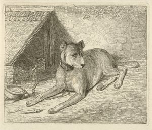 Hond aan een ketting bij een hondenhok door Johannes Mock