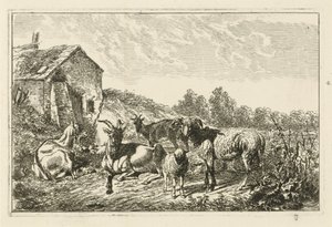 Vier geiten en een schaap bij een huis door Johannes Mock