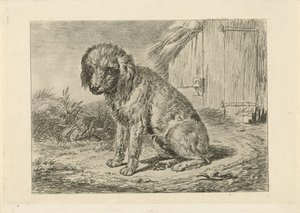 Zittende hond bij een schuur
