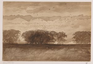 Roekenkolonie in Noord-Brabant door Johannes Tavenraat (signed by artist)