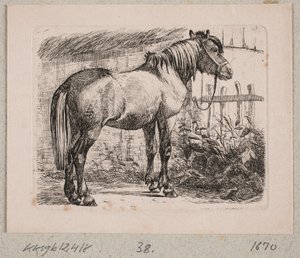 Een paard met halster door Johannes Wilhelm Zillen
