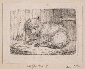Een langharige hond door Johannes Wilhelm Zillen