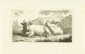 Twee liggende koeien door Johannes van Cuylenburgh