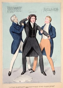 "Een Wilde Olifant Geleid Tussen Twee Tamme", uitgegeven 1830