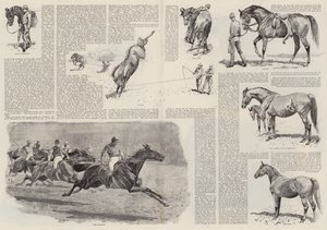 De carrière van een renpaard (gravure) door John (after) Charlton