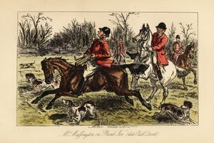 Engelse jager gesleept in het midden van de honden door zijn koppige paard