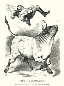 Punch cartoon: Bos Americanus; of, Yankee Beef en Britse Slager - verwachte voordelen voor consumenten van de import van Amerikaans vlees (gravure) door John (after) Tenniel