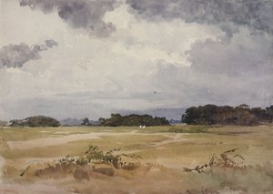 Een veld met groepen bomen