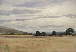 Landschap met Korenveld