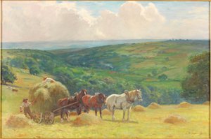 Hooien, 1900