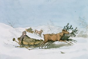 Laplandse Slee, 1803