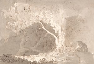 Boomstudie door John Baverstock Knight