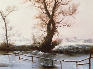 De bevroren vijver, 1873