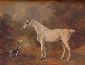 Een Vlooiengebeten Grijze en een Gevlekte Terrier door John Boultbee