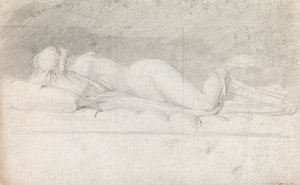 Studie van de hermafrodiet door John Brown