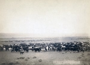Cowboys die vee hoeden, South Dakota c.1890