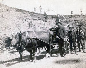Goudkoorts in South Dakota door John C. H. Grabill
