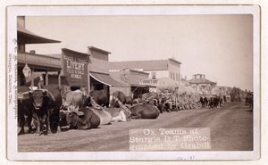 Ossenwagens in Sturgis, D.T., pub.1887 - 1892 (foto)