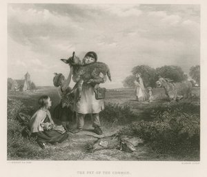 Het huisdier van de heide door John Callcott Horsley