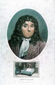 Anton van Leeuwenhoek 1632-1723, Nederlandse microscopist, c1810