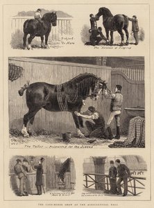 De trekpaardenshow in de Agricultural Hall door John Charles Dollman