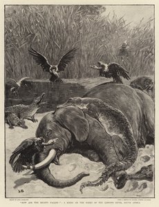 Hoe zijn de machtigen gevallen!, een Scène aan de Oevers van de Limpopo Rivier, Zuid-Afrika