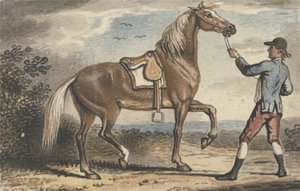 Staljongen die een Paard vasthoudt in een Landschap