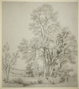 Een rij iepen (recto); Een studie van East Bergholt met de kerk (verso) door John Constable