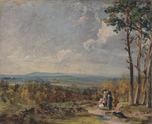Hampstead Heath in de richting van Harrow